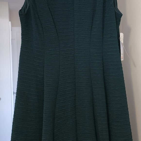 Hunter Green Textured Pants - Picture 3 of 3